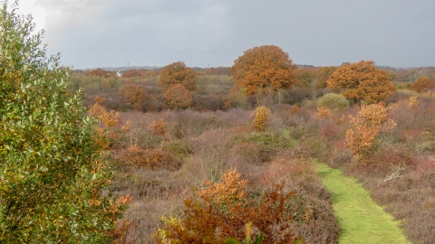 View of Knepp, photo: A Powling