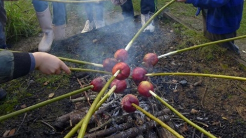Campfire Cooking Toffee Apples