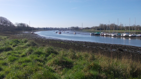 Fareham Creek Spring Walk