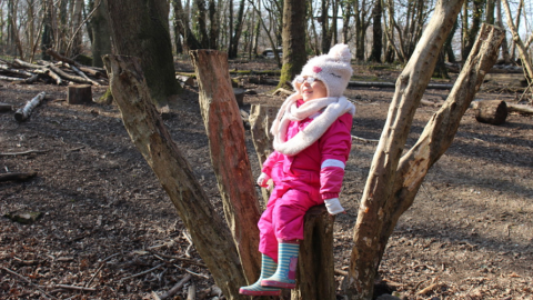 Girl on tree stump, Redlands Year R group at a Forest School session at Swanwick Lakes Nature Reserve