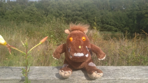 Gruffalo at Swanwick