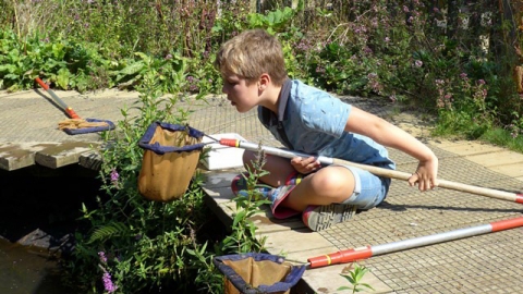 Pond dipping Blashford Lakes