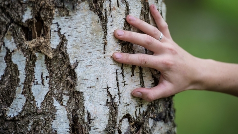 Close to nature - touching a tree