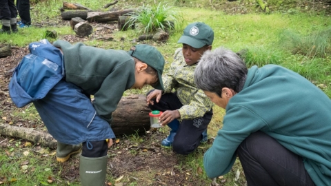 School children bug hunting
