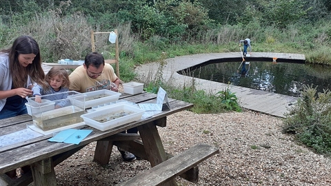 A family enjoying a covid-19 secure pond dipping activity at Blashford Lakes