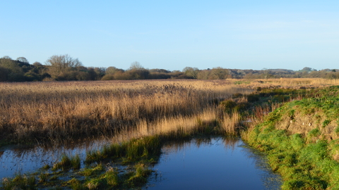 Morton Marsh Nature Reserve 