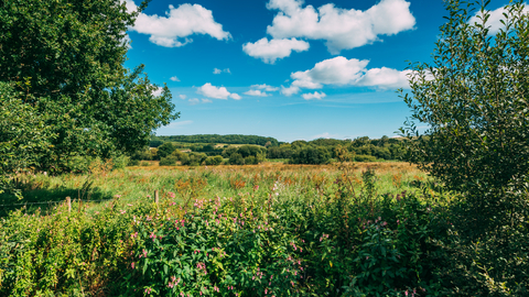 Newchurch Moors 