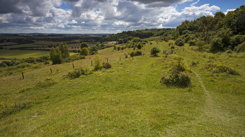 Broughton Down View