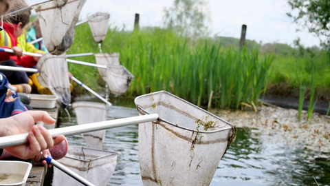 pond dipping nets held over pond 