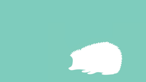 Hedgehog