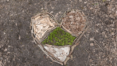 Nature are heart made from moss, sticks and leaves.