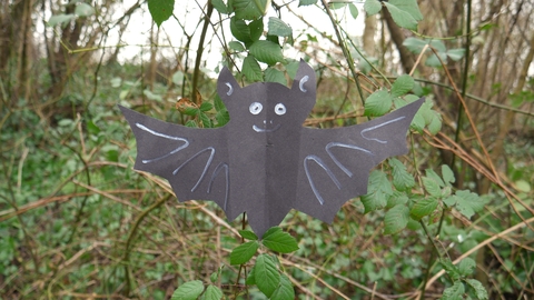 Bat puppet in the woods.