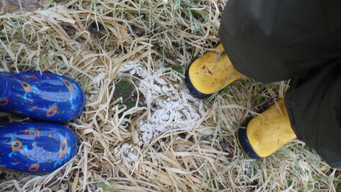 Wellies