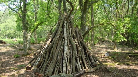 Shelter Swanwick