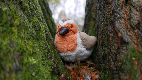 Robin toy in a tree