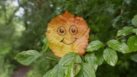 Autumn leaf with a smiley face