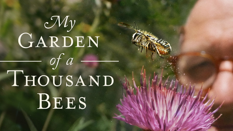My Garden of a Thousand Bees
