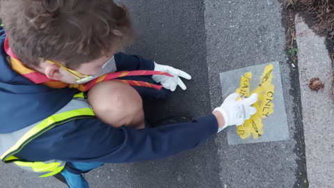 Yellow fish campaign