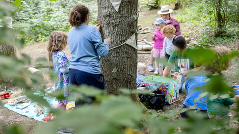 Children playing in a woodland with bunting round a tree trunk and a picnic blanket on the ground.
