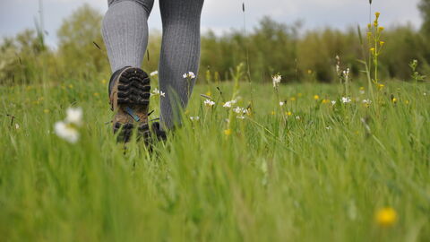 Walking on grass