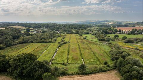 Drone photo of Alvertsone Mead Nature Reserve