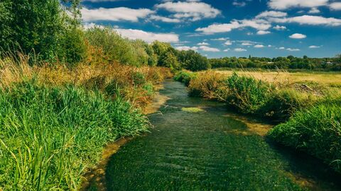 Winnall Moors Nature Reserve
