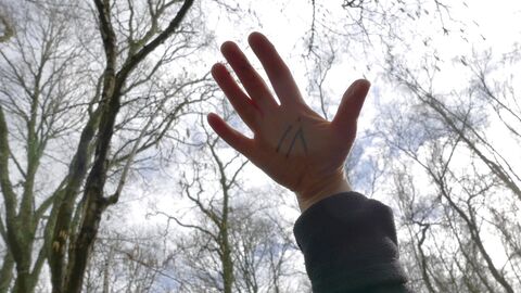 Hand raised up towards bare tree branches and sky
