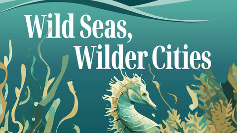 Front cover of Wild Seas, Wilder Cities book