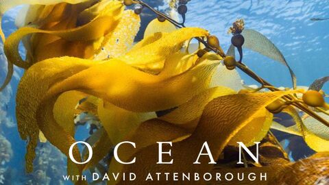 Poster highlighting a film screening of Ocean with David Attenborough
