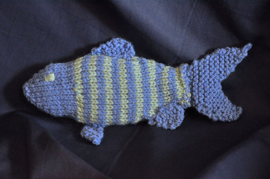 Weave-A-Fish | Hampshire and Isle of Wight Wildlife Trust