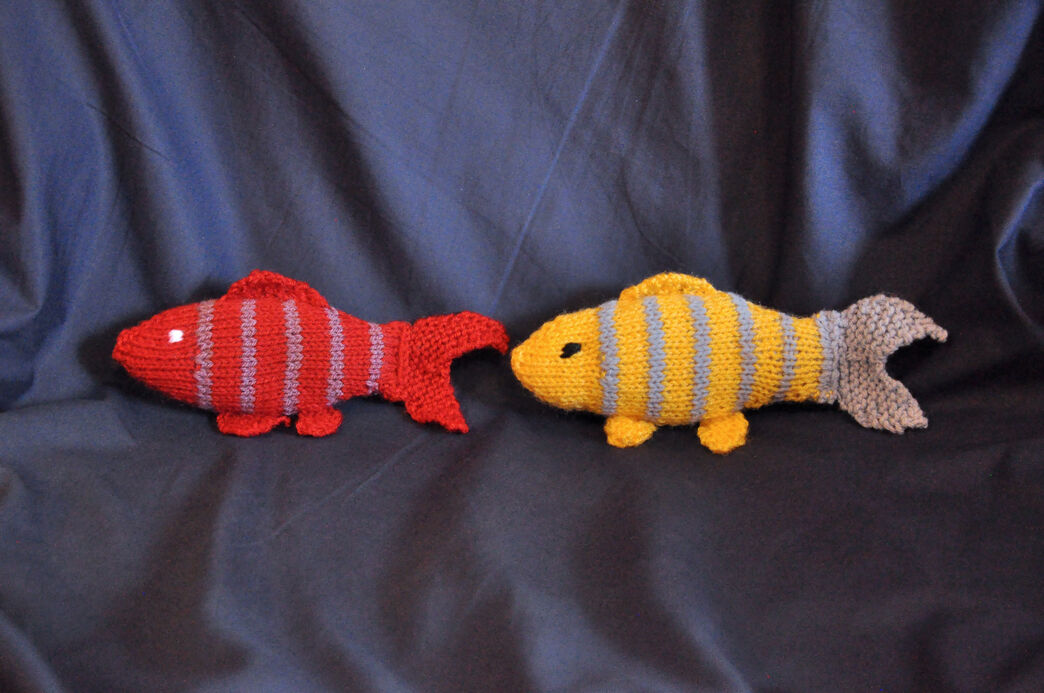 Weave-A-Fish | Hampshire and Isle of Wight Wildlife Trust