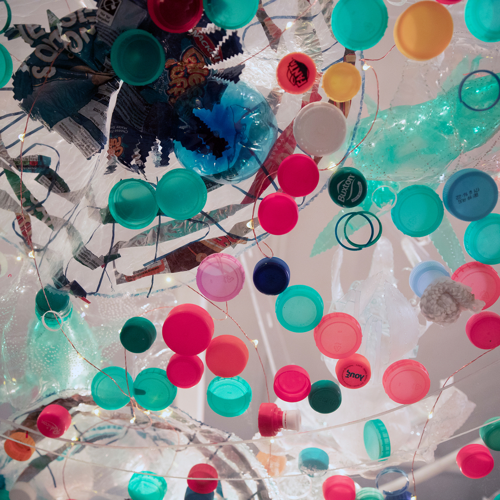 Spiny Seahorses and Ripping Yarns Hampshire and Isle of Wight