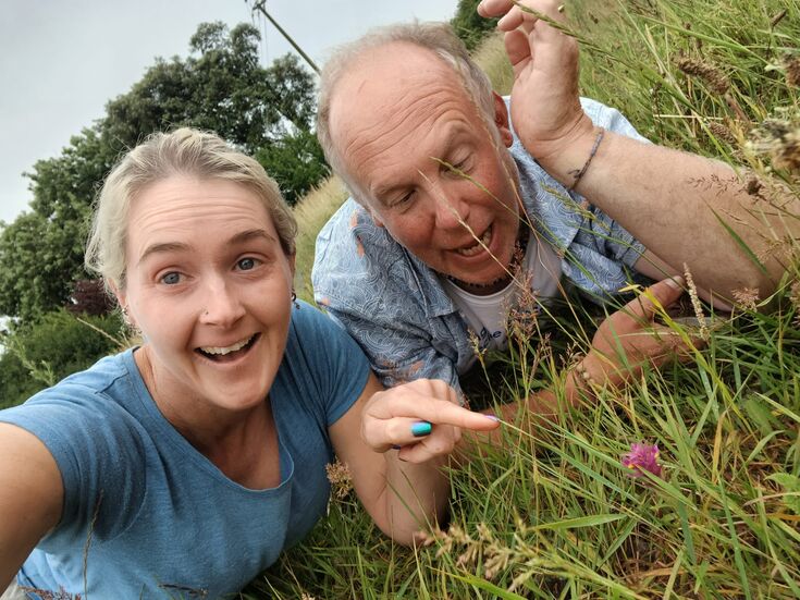 Rare plant bounces back at one of the world’s smallest Sites of Special ...
