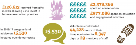 Annual report infographics