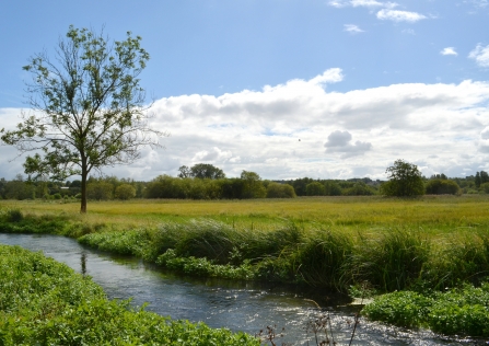 Winnall Moors Nature Reserve © Deryn Hawkins