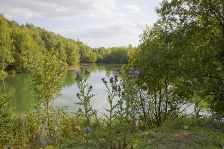 Swanwick Lake, by John Windust