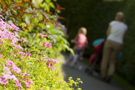 Family walking in an urban green space