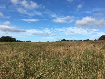 Barton Meadows nature reserve