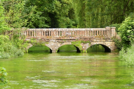 Bridge on the upper Test near Laverstoke