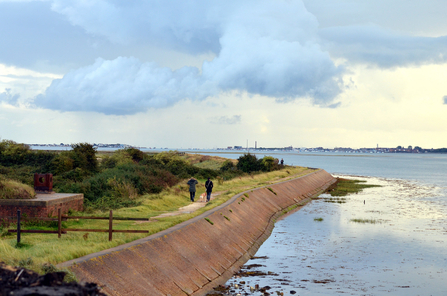 Sea wall at Farlington Marshes nature reserve