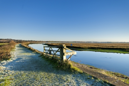 Farlington Marshes in winter