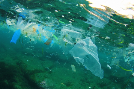 Plastic litter in our oceans