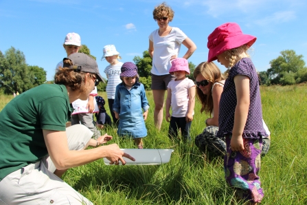 Wildlife Tots at St Cross Meadow