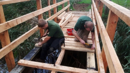 Woodland apprentices building a bridge