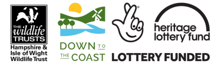 Down to the Coast logo block (not woodland apprentices)