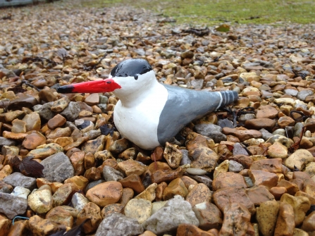 Decoy tern model