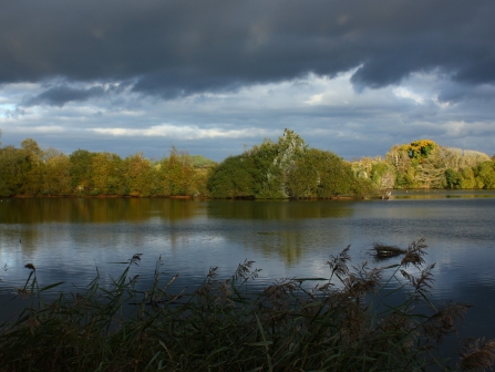 Ivy Lake from South Hide at Blashford Lakes