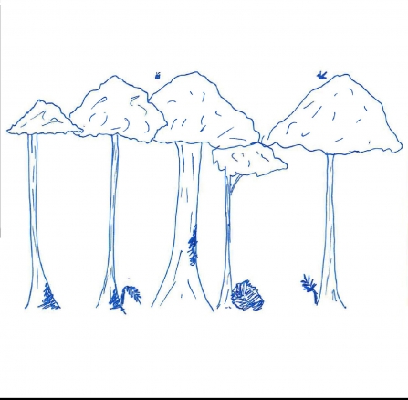 Secondary woodland diagram