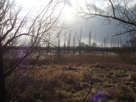 Fishlake Meadows view Apr 2018