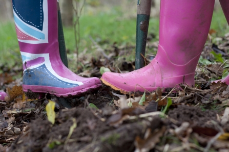 Wildlife gardening © Tom Marshall